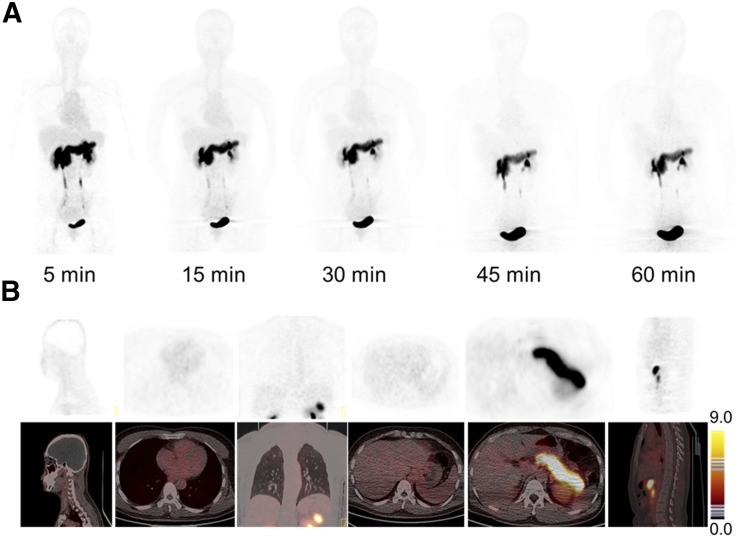 FIGURE 1.