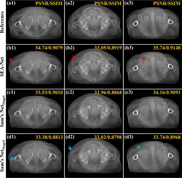 Fig. 8.