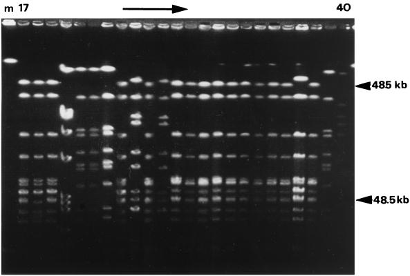 FIG. 1