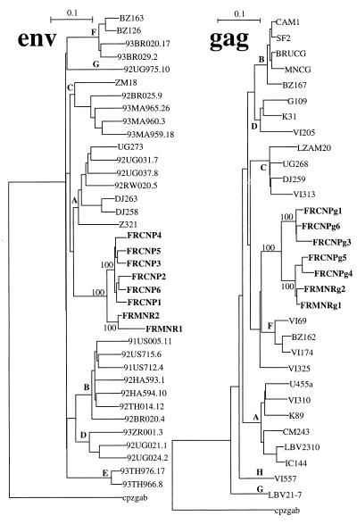 FIG. 1