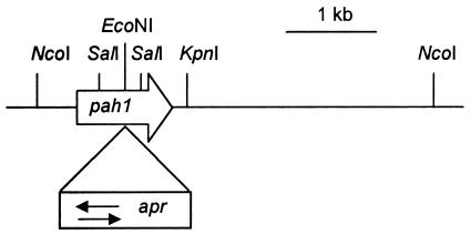 FIG. 5.