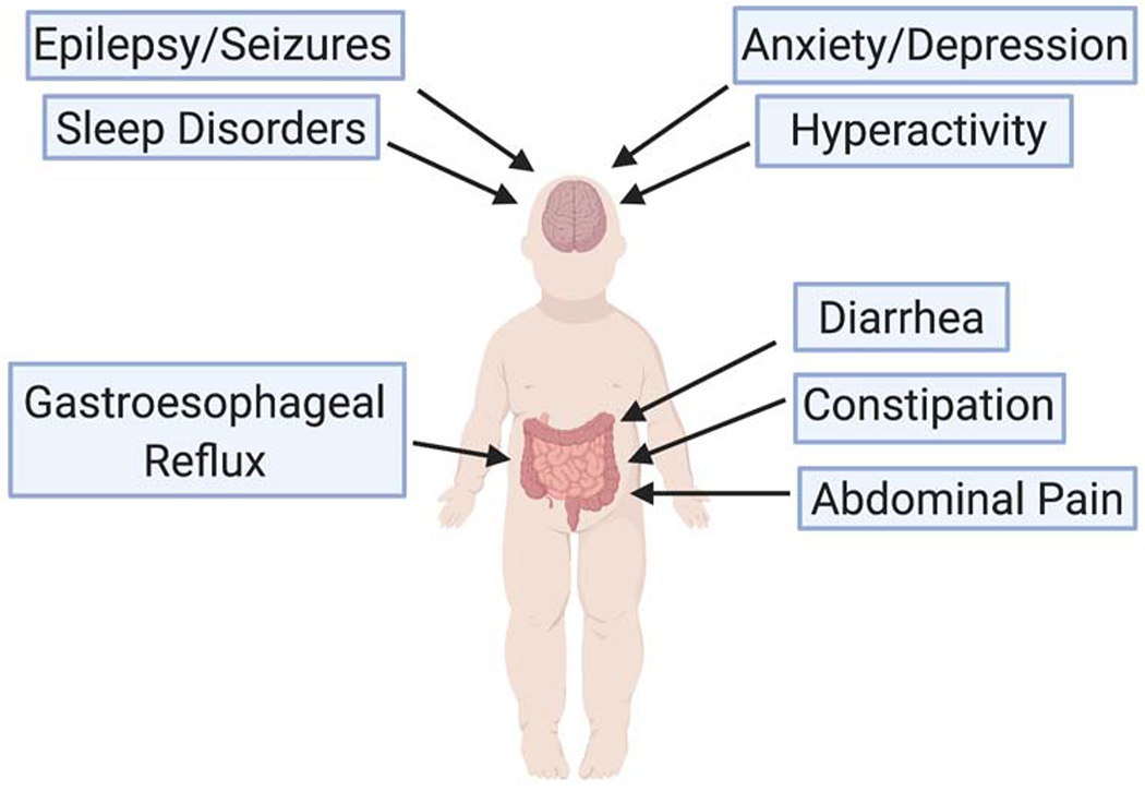 Figure 1: