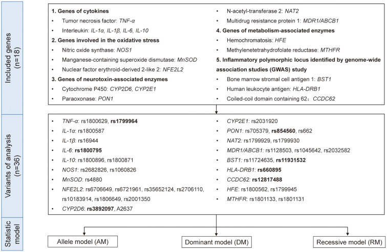 Figure 1