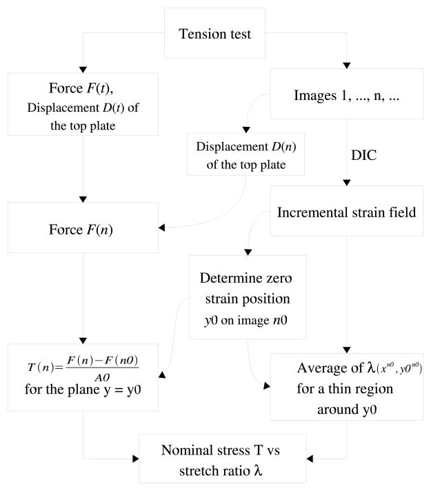 Figure 8