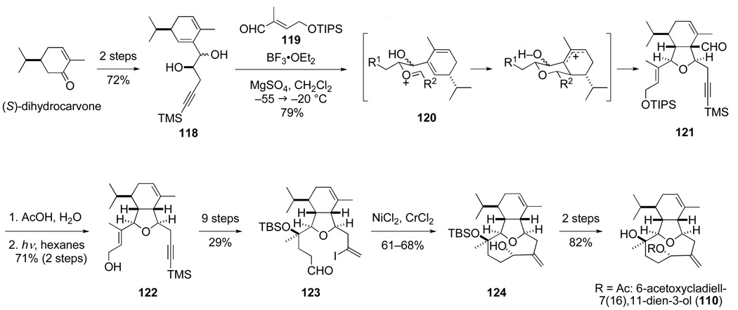 Scheme 22