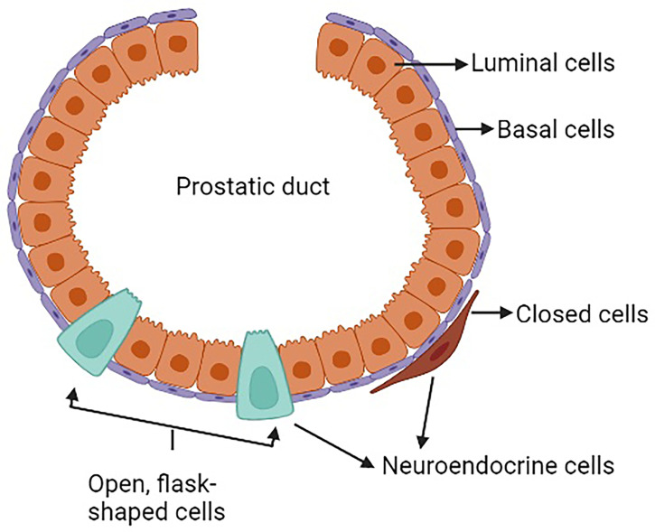 Figure 1