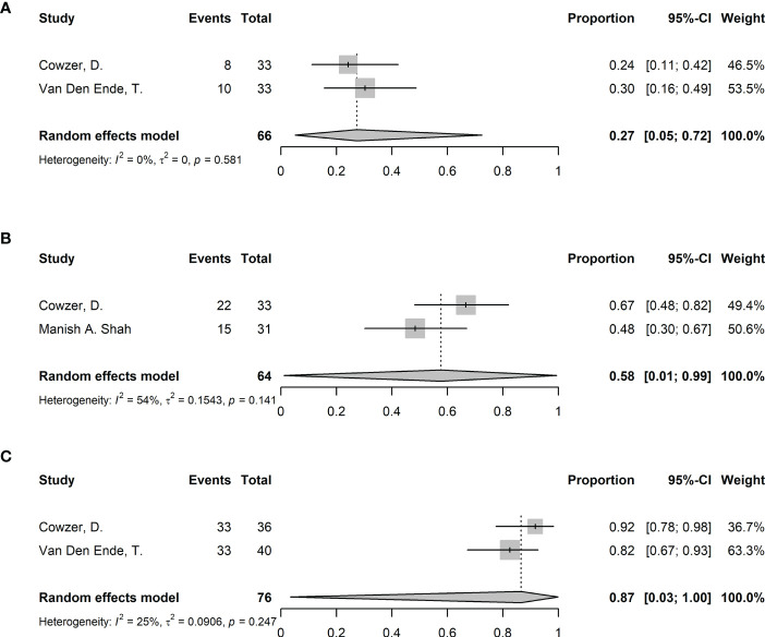 Figure 6