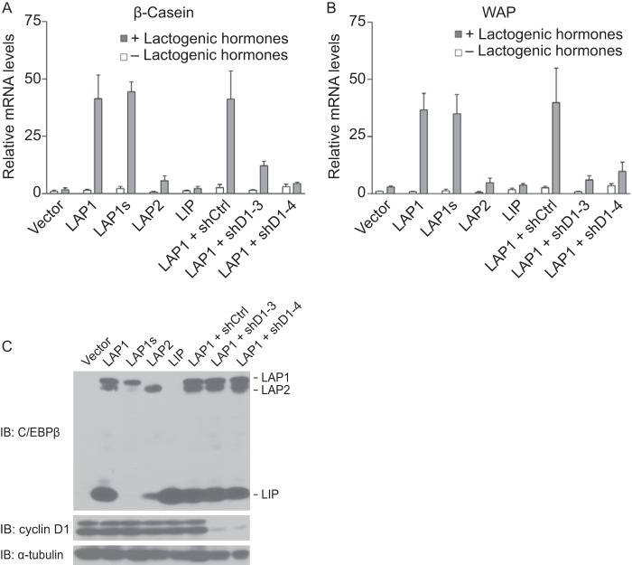 FIG 6