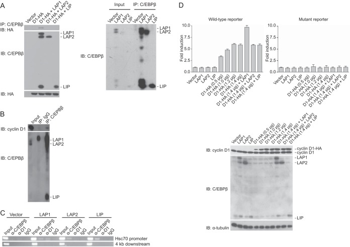 FIG 1