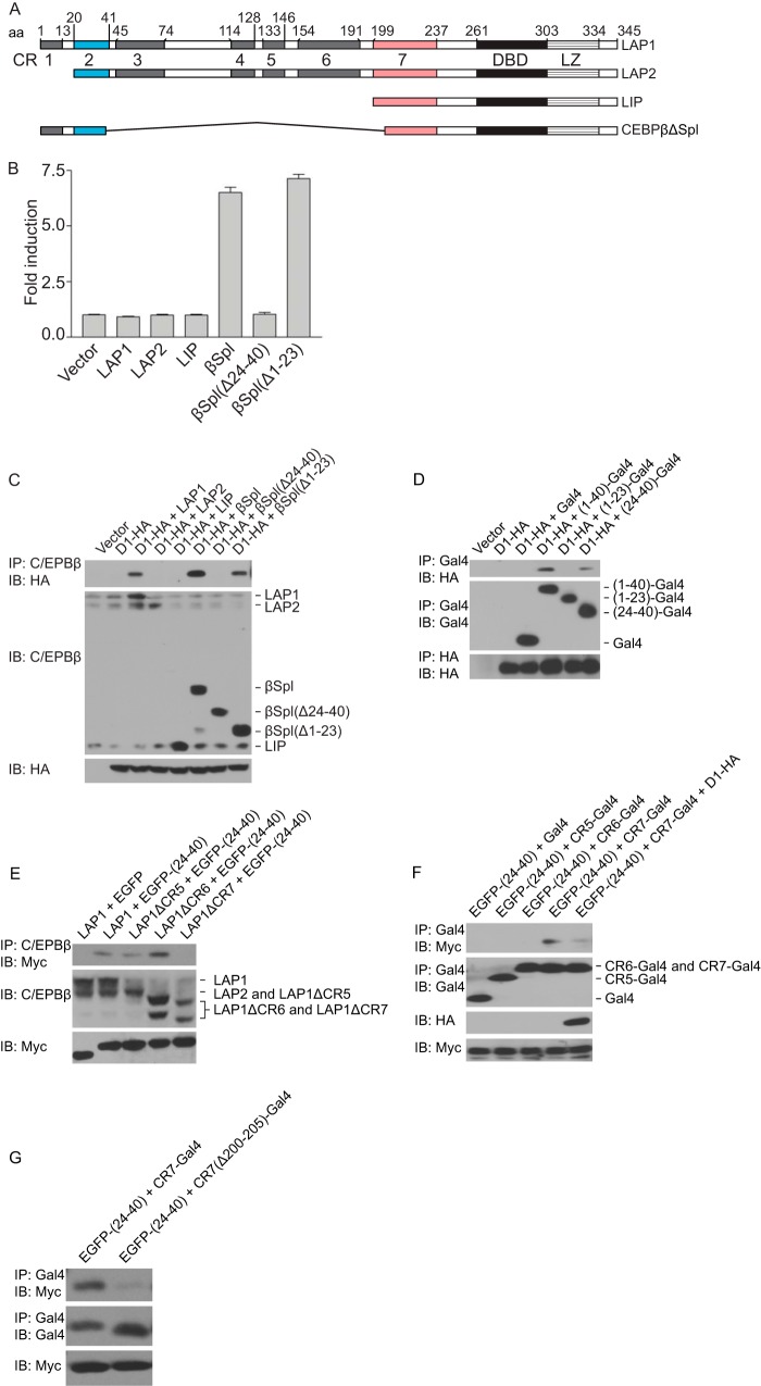 FIG 2