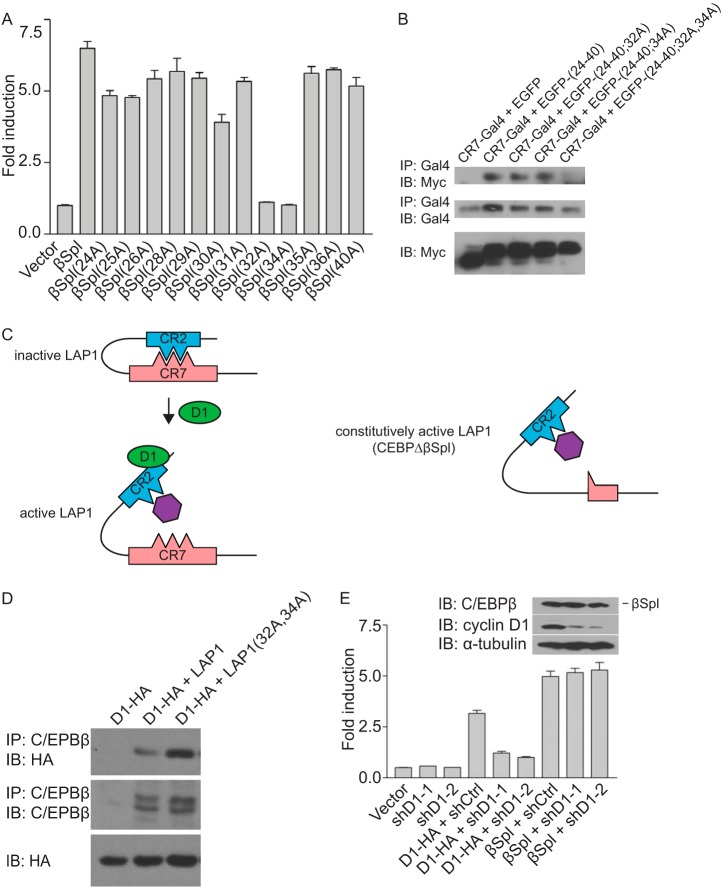 FIG 3