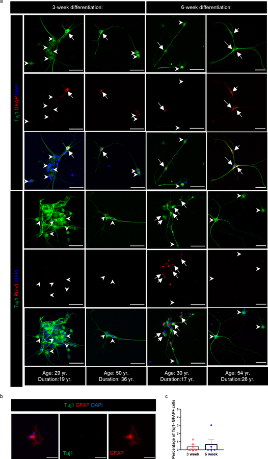 Extended Data Fig. 4