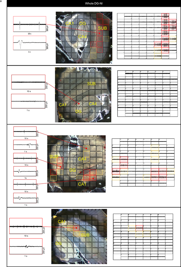 Extended Data Fig. 6