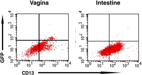 FIG. 4.