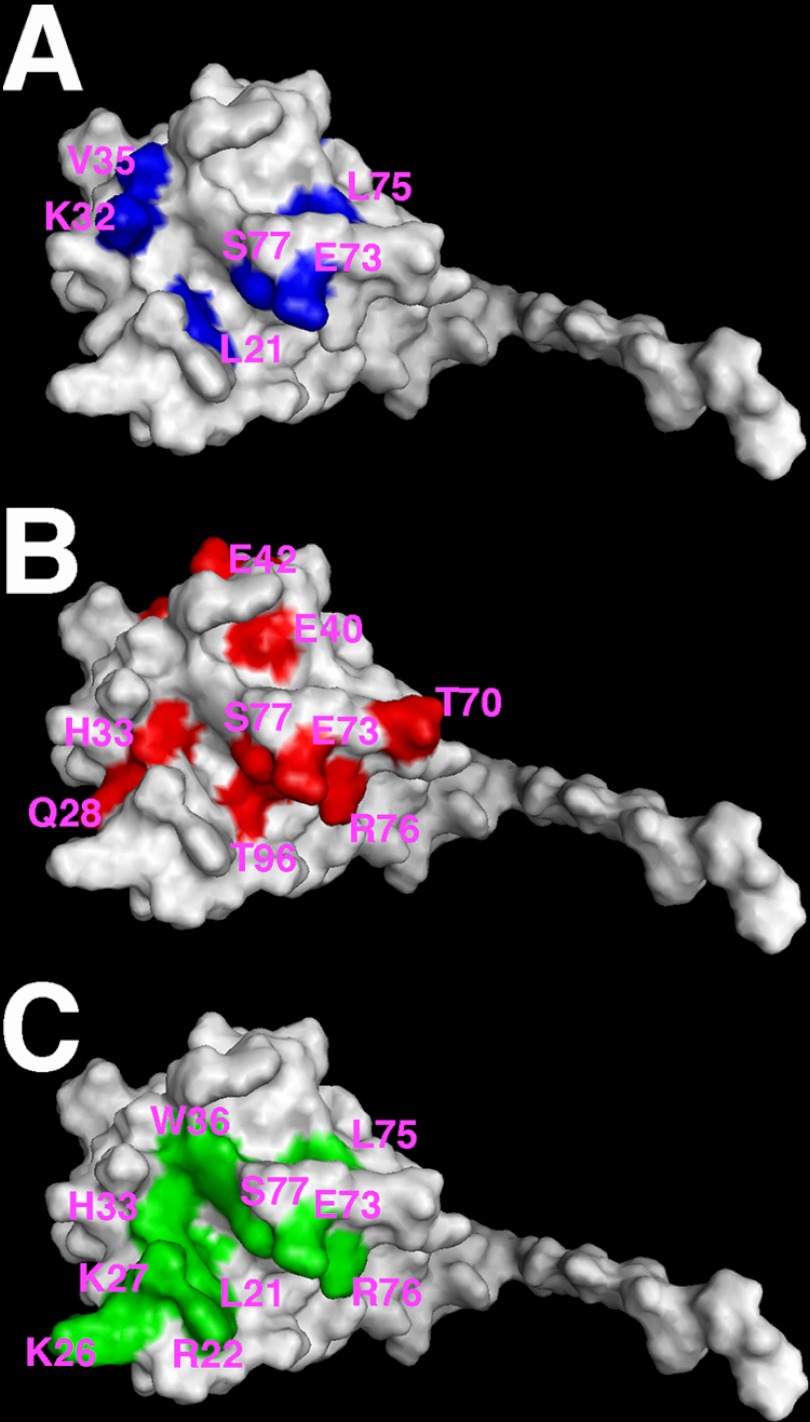 FIGURE 6.