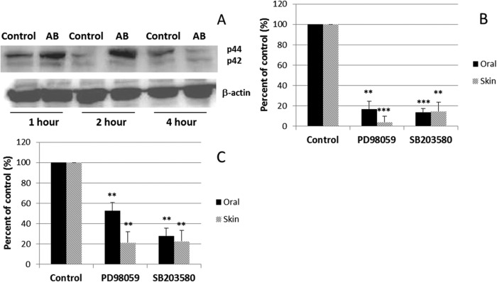 FIG 4