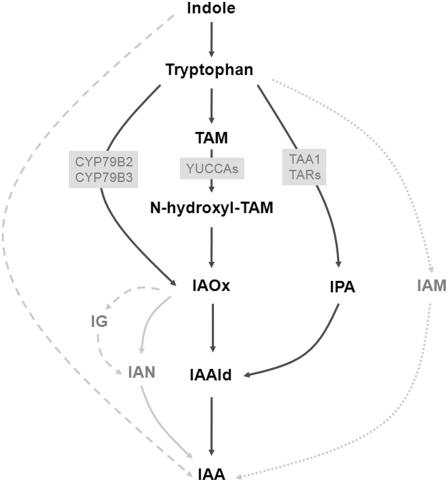 Figure 3.