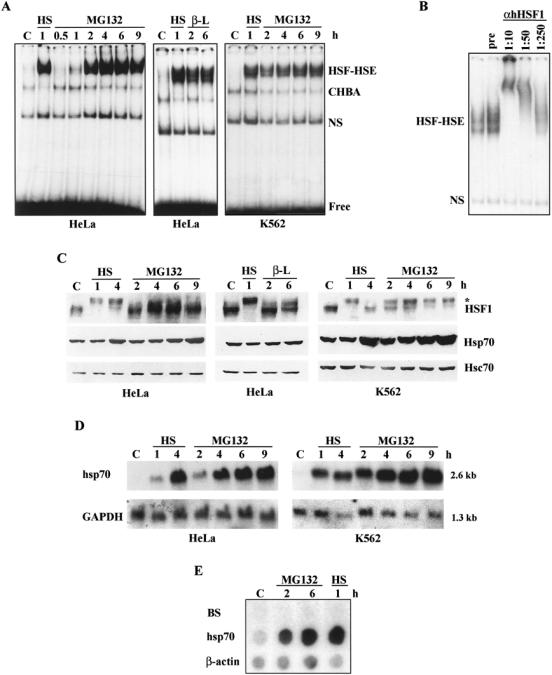 Fig 2.