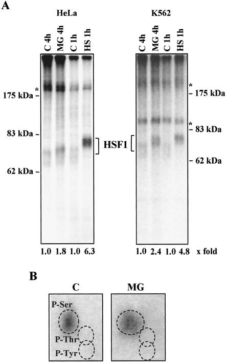 Fig 3.