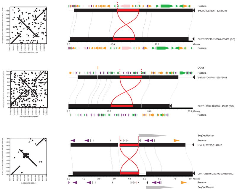 Extended Data Figure 5