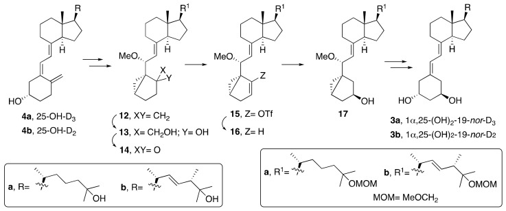 Scheme 2