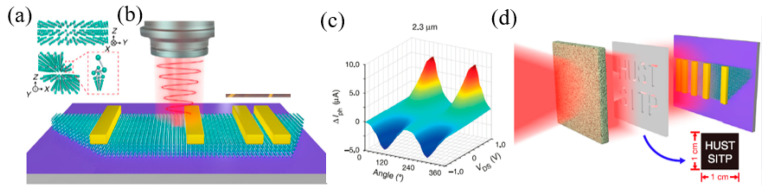 Figure 30