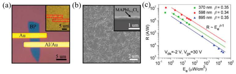 Figure 24