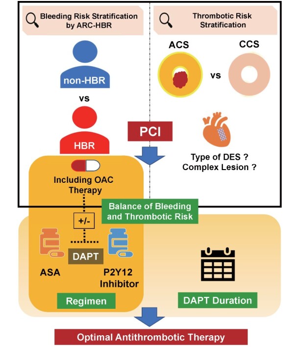 Fig.1. Decision scheme and decision-making factors for antithrombotic therapy after PCI