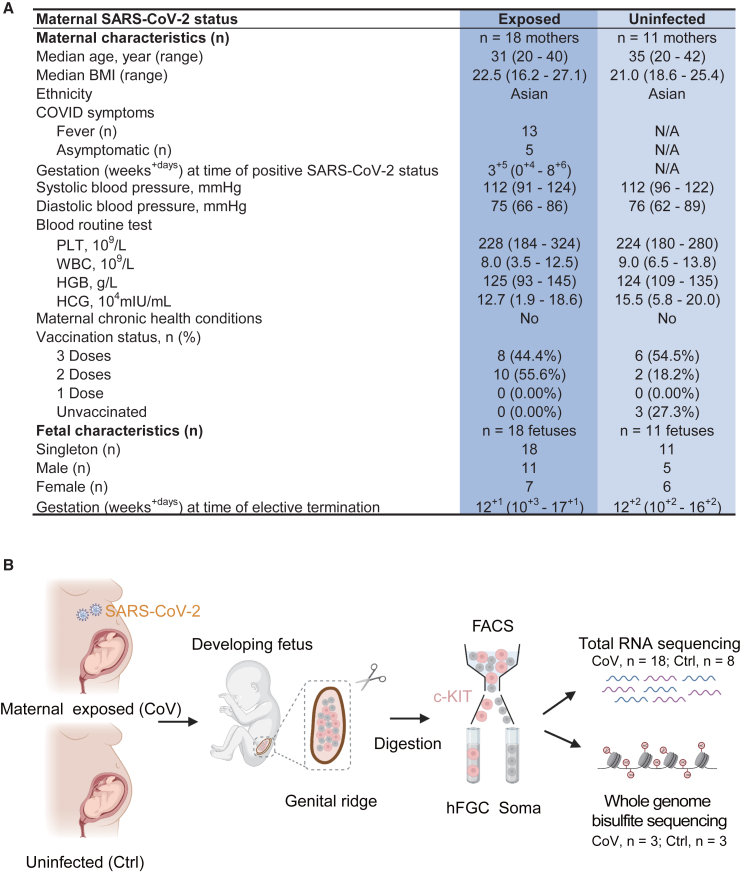 Figure 1