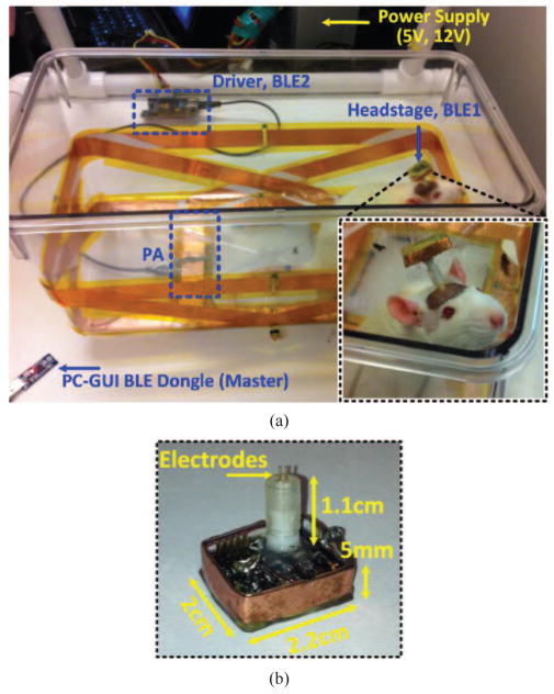 Fig. 10