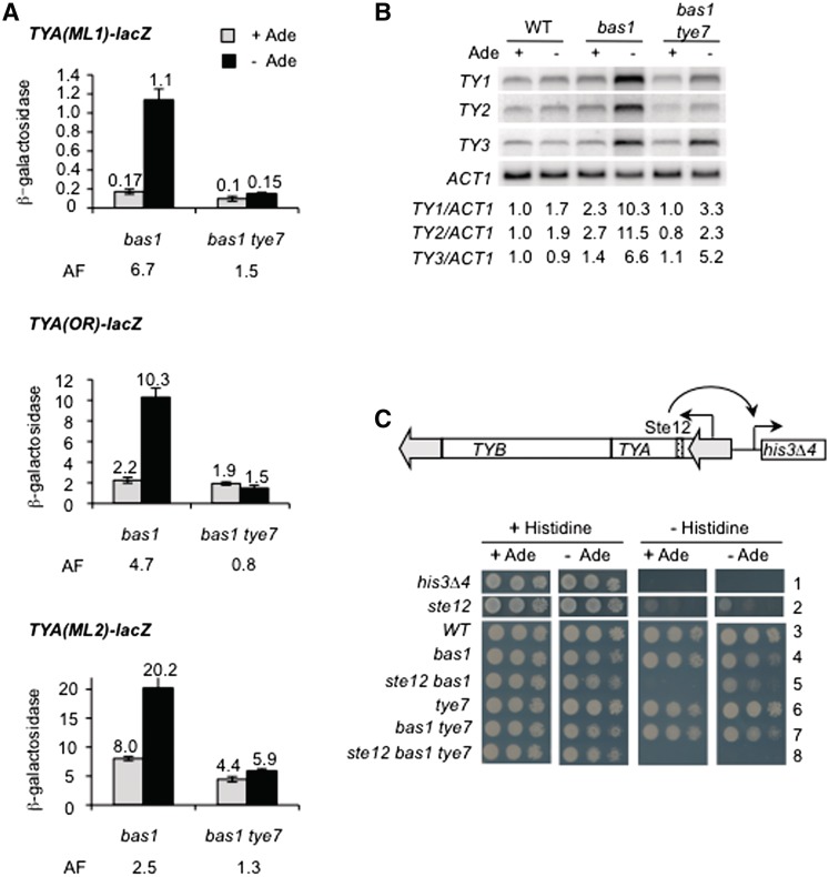 Figure 3.