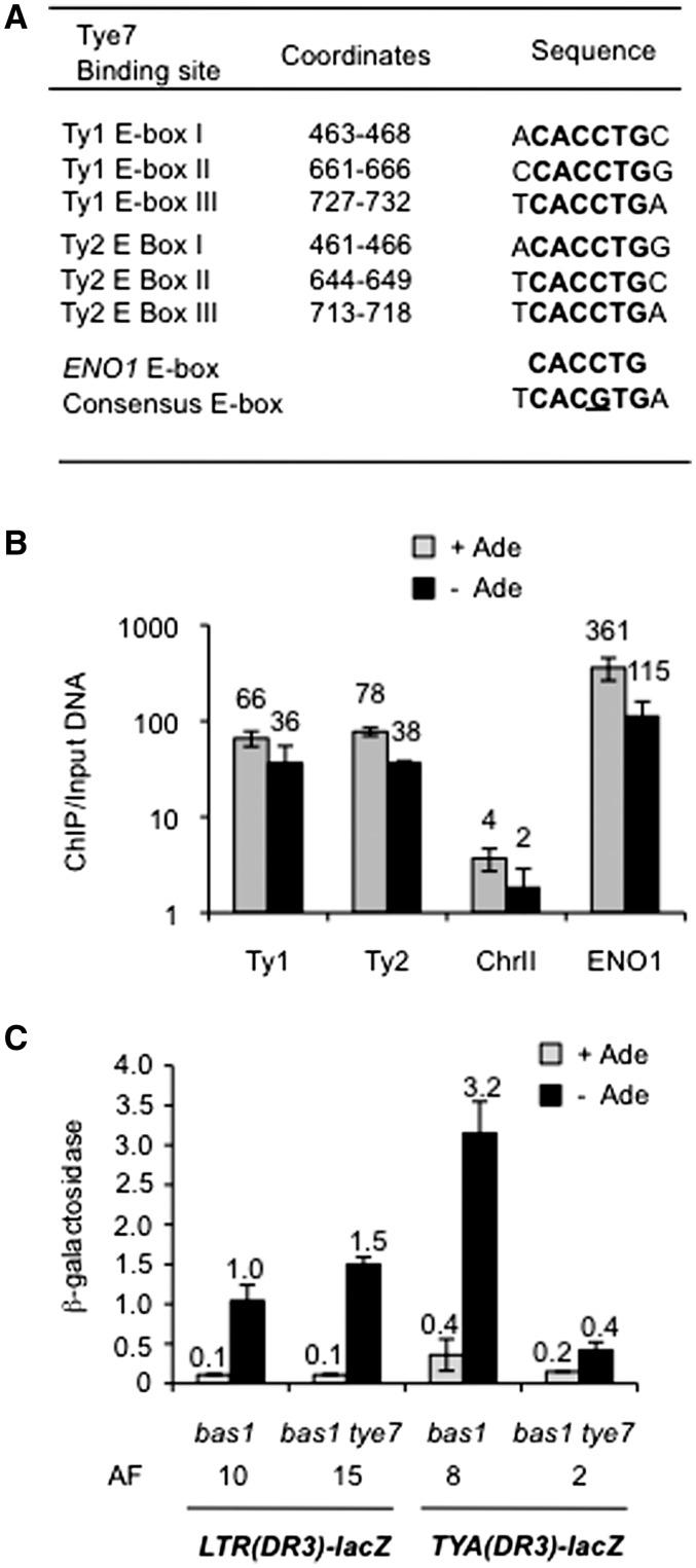 Figure 4.