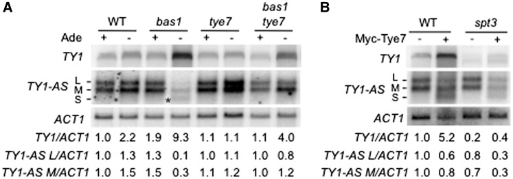 Figure 5.