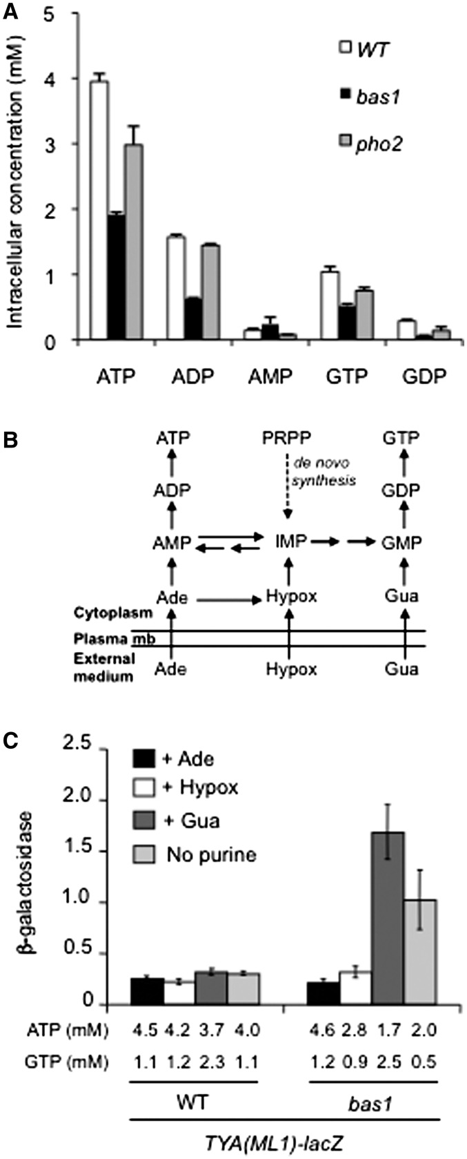 Figure 2.