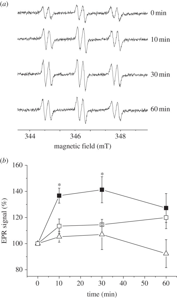 Figure 5.