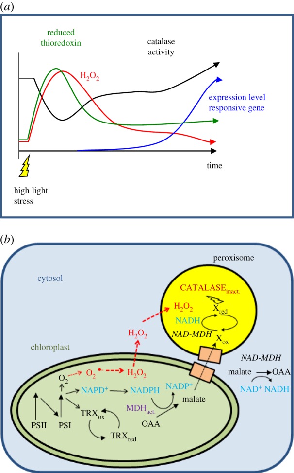 Figure 1.