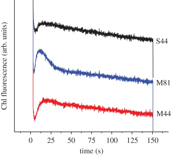 Figure 3.