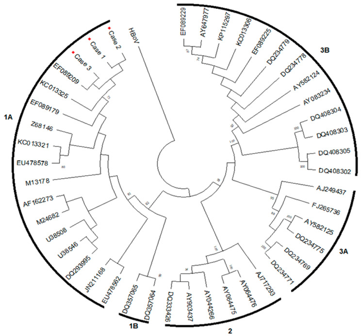 Figure 2