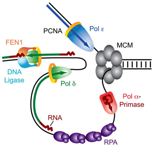 Figure 5