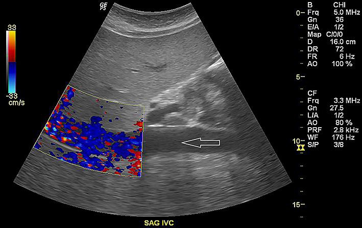 Fig. 1.