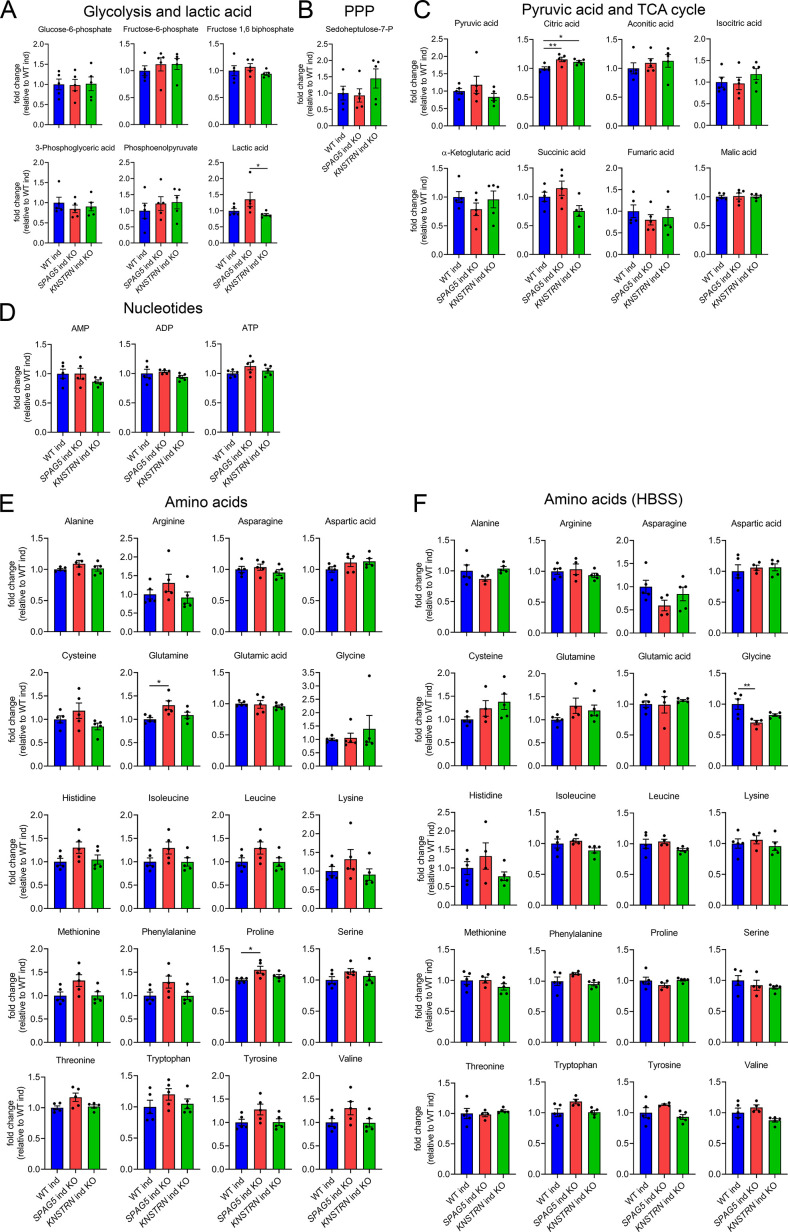 Figure 5—figure supplement 2.