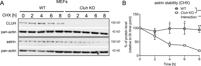 Figure 2—figure supplement 1.