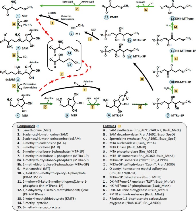 FIGURE 1.