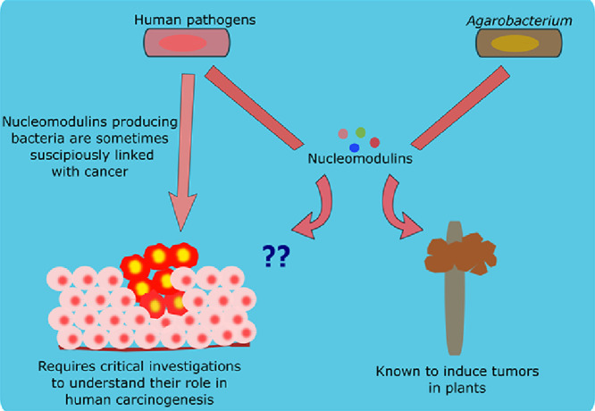 Image, graphical abstract