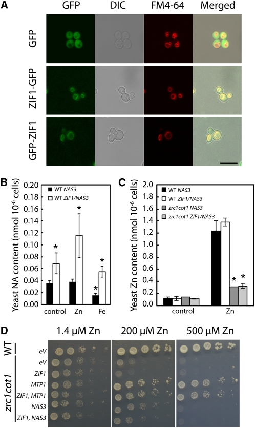 Figure 2.