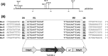 FIG 2