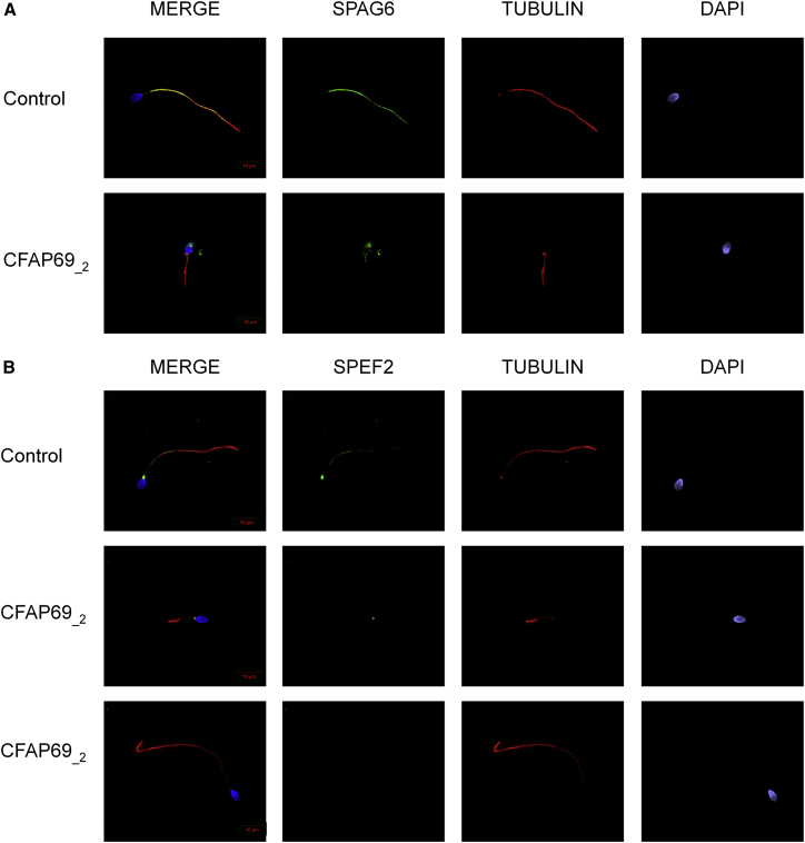 Figure 3