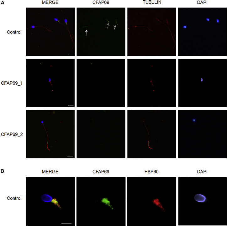 Figure 2