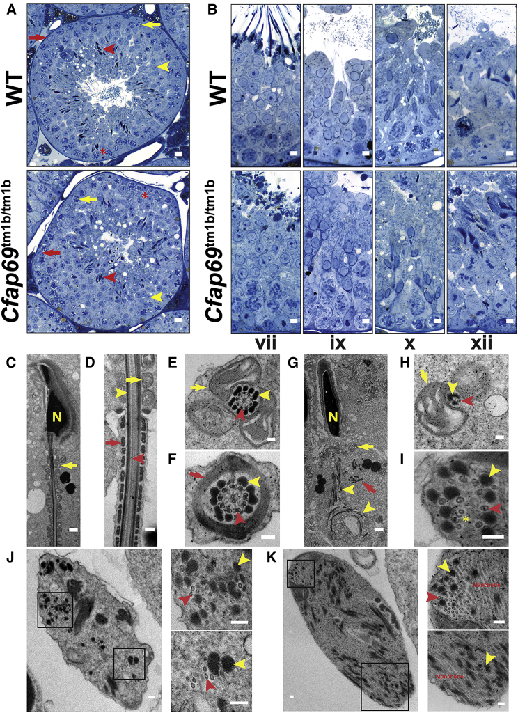 Figure 6