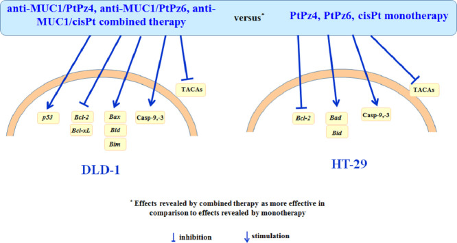 Image, graphical abstract